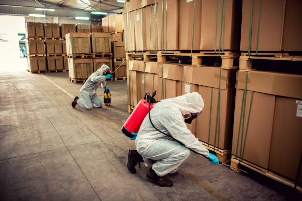 Best Residential Pest Control  in Hughestown, PA