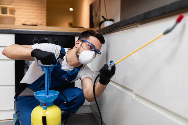 Best Mosquito Control Services  in Hughestown, PA