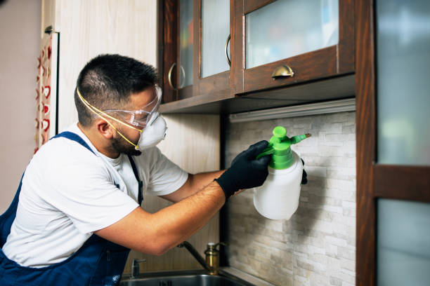 Professional Pest Control in Hughestown, PA