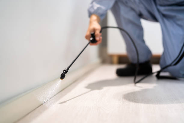 Best Pest Prevention Services  in Hughestown, PA