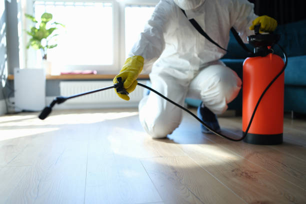 Best Affordable Pest Control Services  in Hughestown, PA