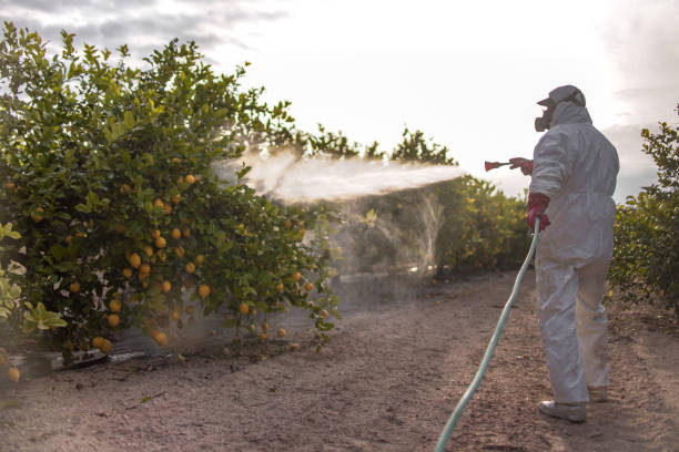 Best Cockroach Control Services  in Hughestown, PA