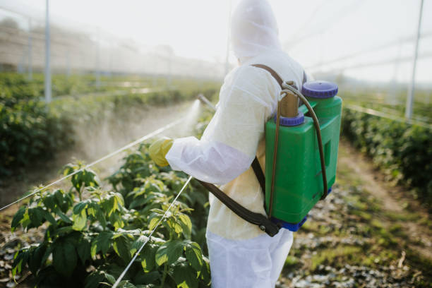 Best Residential Pest Control  in Hughestown, PA